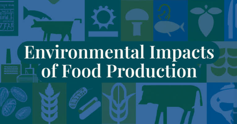 Comparing the Environmental Costs of Producing Different types of Foods